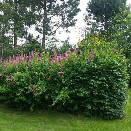 Urlaub Im Friesenhaus * Langenhorn